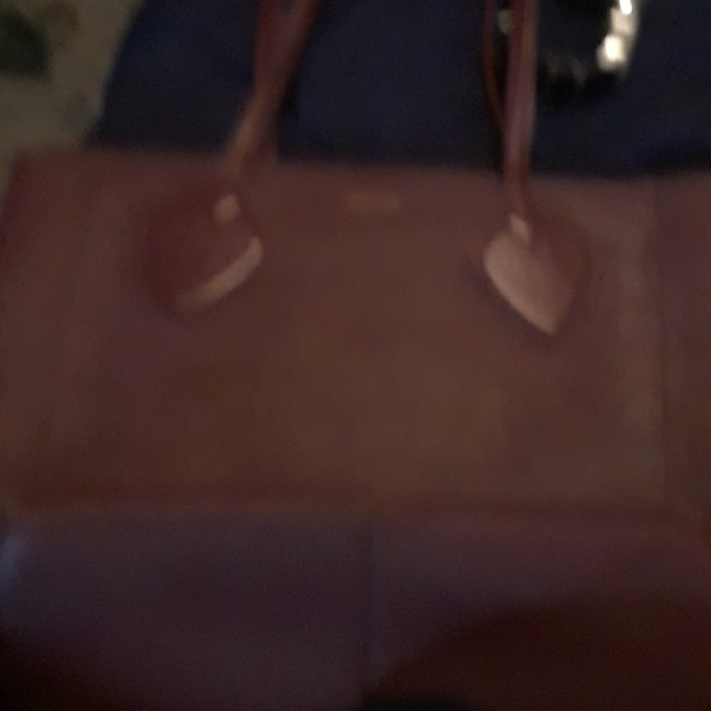 Anne Klein purse